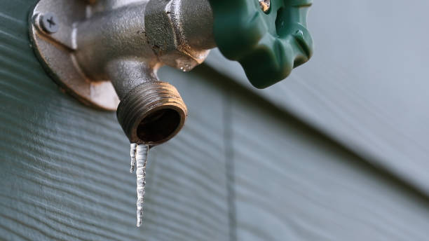 Best Leak Detection Services  in Bedminster, NJ